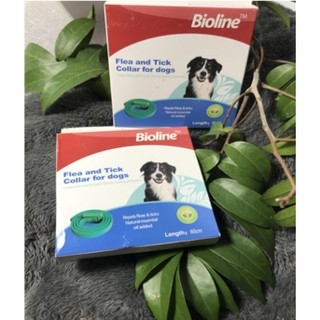 Bioline Flea Tick vòng cổ trị ve cho chó 60cm