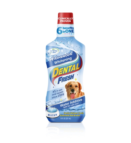 Nước uống thơm miệng Dental Fesh Giảm hôi miệng trắng răng 237ml